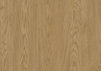 3102 Dąb Baltic Dune AFP