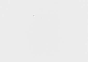 11351M Biały (plecy białe)