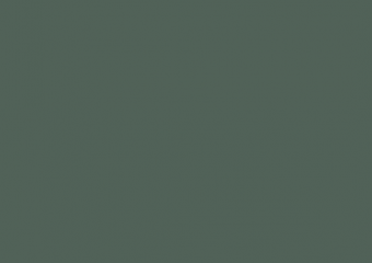 5472M Zielony Łupkowy