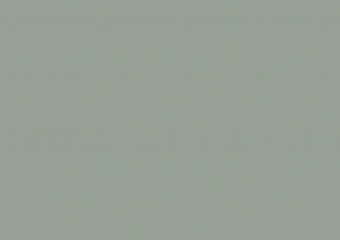 5474 Aloes (plecy białe)