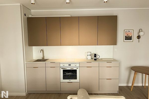 Acrylux Mat Złoty Antyczny 8859 - Fox Meble