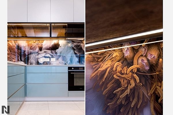 Oxyd 4473 - Niemann SA